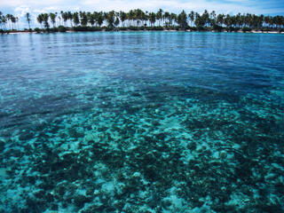 Reef and island in Indonesia