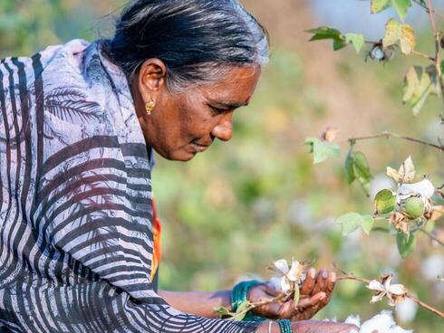 Organic cotton farmer partnered with WWF-India to implement new regenerative agriculture practices