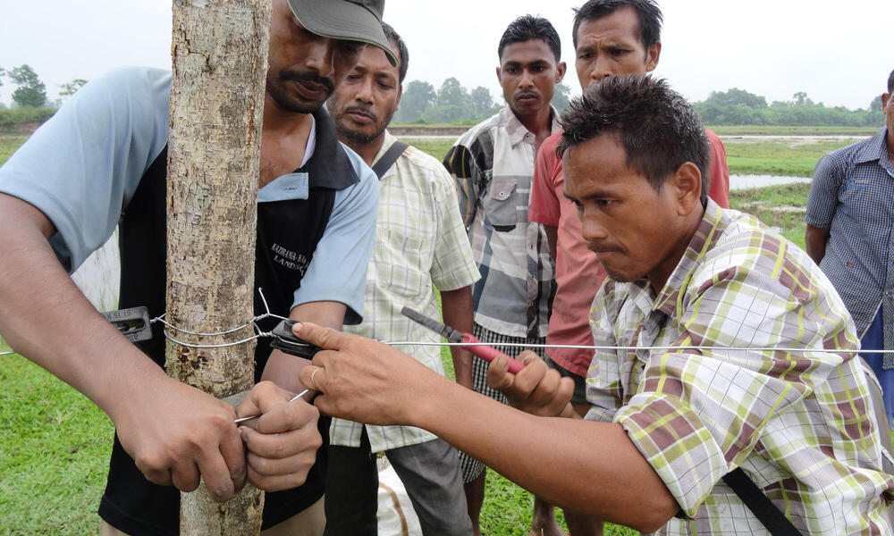 Several people working to wrap wire on a post