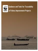 Guidance and Tools for Traceability in Fishery Improvement Projects Brochure