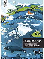 A Guide to ArcNet: An Arctic Ocean Network of Priority Areas for Conservation Brochure
