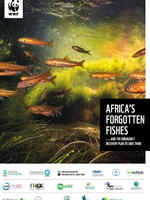 Africa's Forgotten Fishes...and the emergency recovery plan to save them Brochure