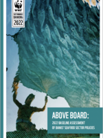 2022: Above Board: Banks' Seafood Sector Policy Analysis Brochure