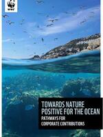 Towards Nature Positive for the Ocean: Pathways for Corporate Contributions