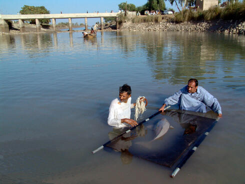 Rescuing an Indus river dolphin