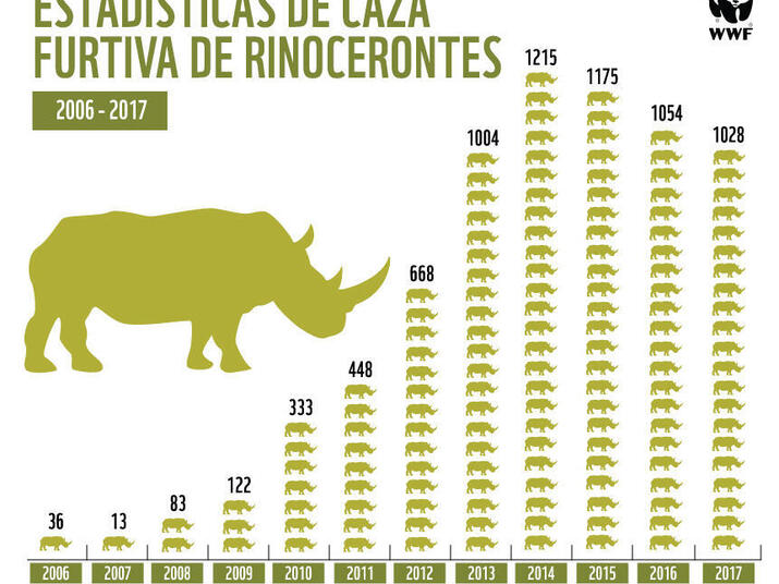 Rhino Poaching Statistics South Africa 2017