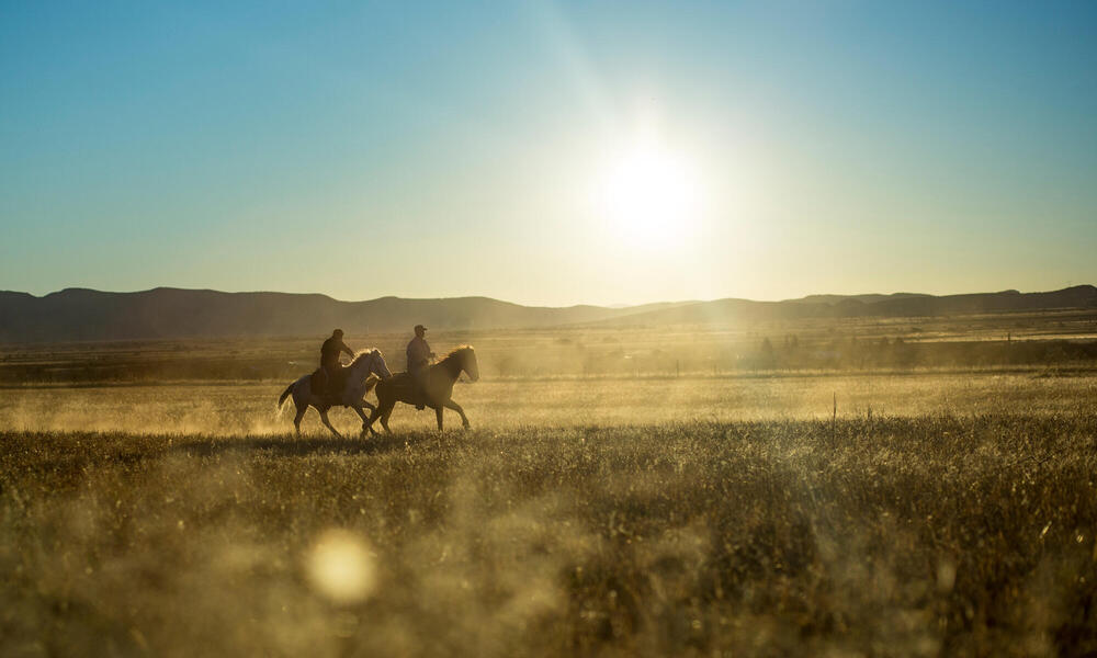 Two cowboys riding in a desert grassland
