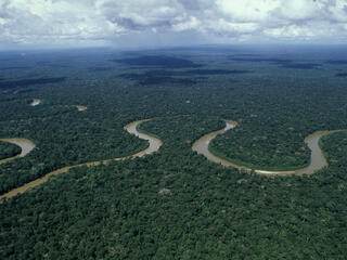 The meandering course of river Rio Pinquen, Amazon rainforest, Peru