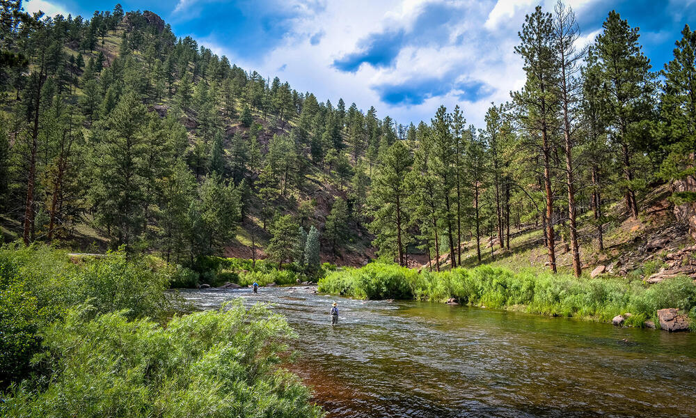 Fly fishing on a mountain river