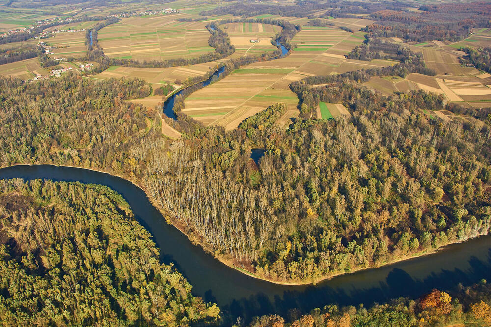 Winding river from above