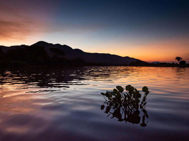 Landscape photo of a river at sunset