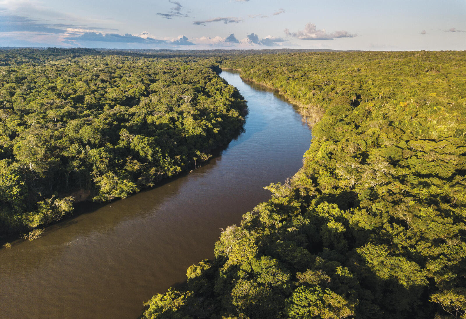 Landscape of river from above