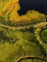 Aerial view of a road through yellow and green vegetation
