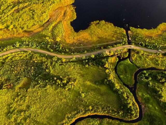 Aerial view of a road through yellow and green vegetation