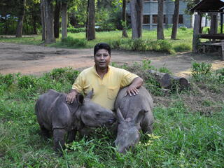 ranger with rhino calves