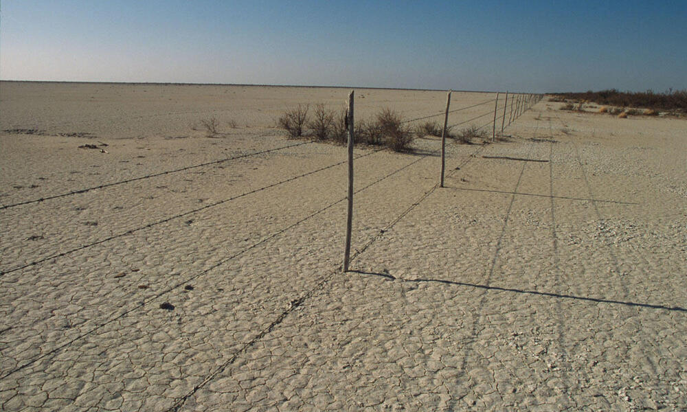 Seriously overgrazed (Ejido) communal land Chihuahua Desert Coahuila, Mexico