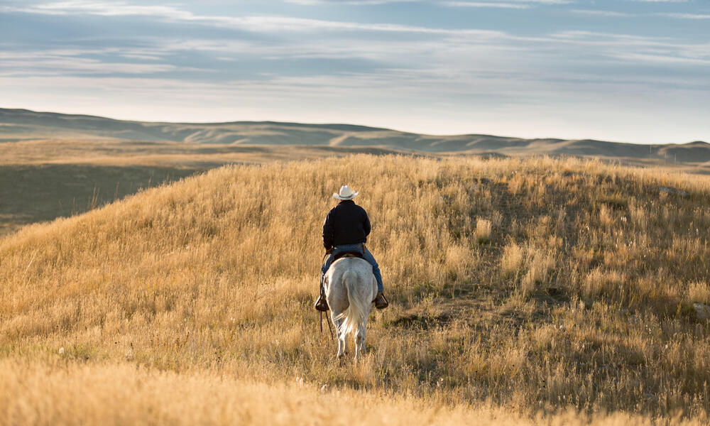 How The USA is Saving Its Great Plains, One Blade of Grass at a