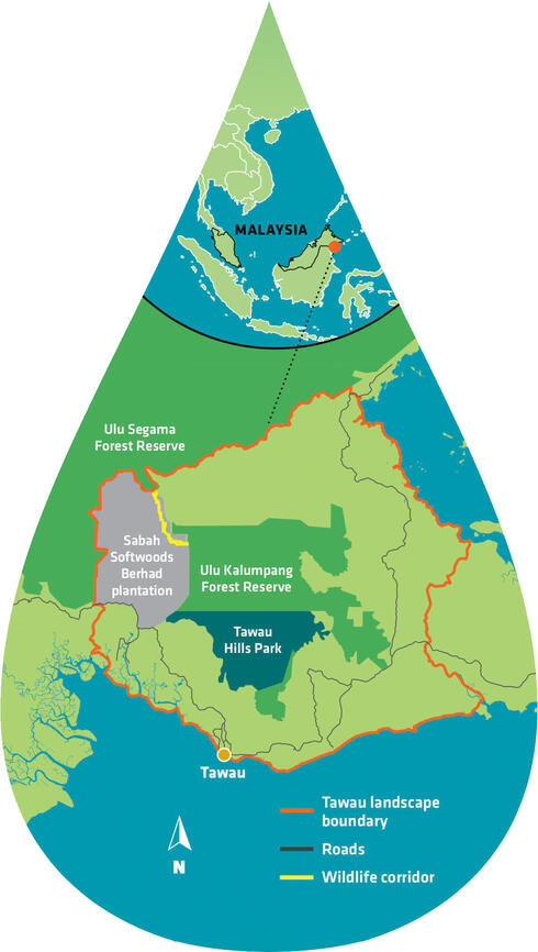 Map of Sabah area shaped like droplet