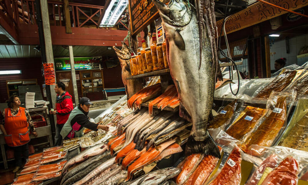 Salmon for sale at the market in Puerto Montt, in southern Chile.