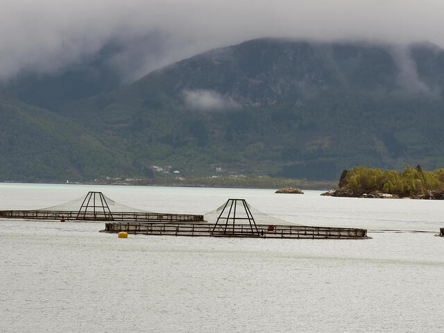 Ocean salmon farm in Norway