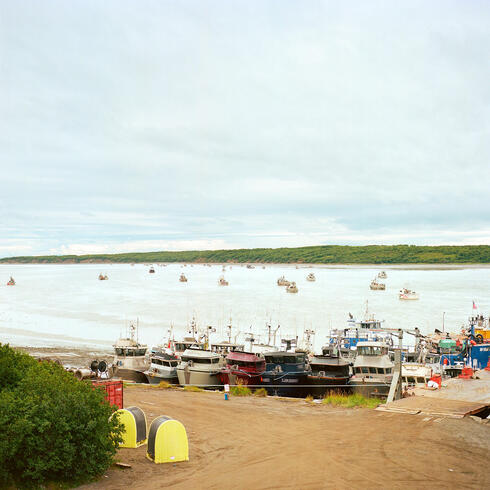 Waterside with salmon boats