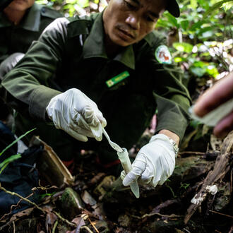 A ranger crouches on the ground and uses a spoon to put a sample into a tube