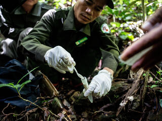 A ranger crouches on the ground and uses a spoon to put a sample into a tube