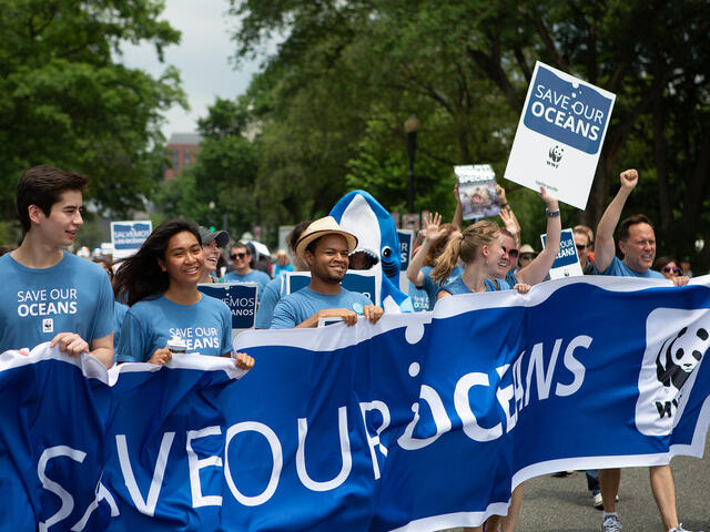A group of people march in a rally and wear blue T-shirts that say "save our oceans". They also carry a "Save our oceans" banner.