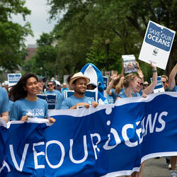 A group of people march in a rally and wear blue T-shirts that say "save our oceans". They also carry a "Save our oceans" banner.