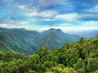 A wide angle shot of a lush forest over mountain ridges