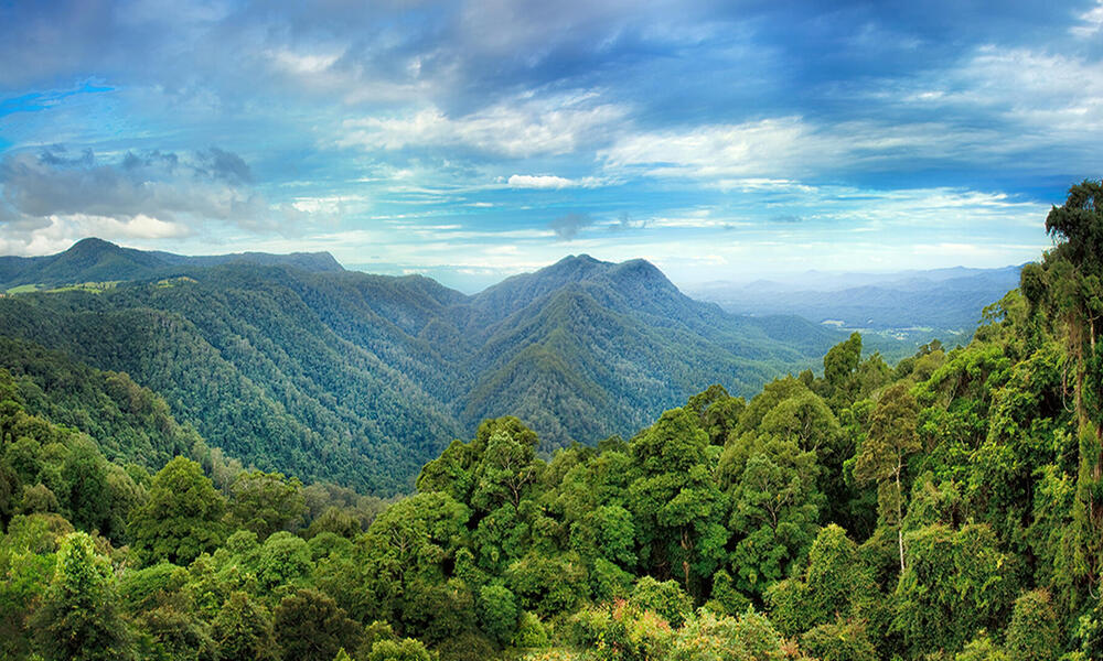 A wide angle shot of a lush forest over mountain ridges