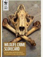 Wildlife Crime Scorecard Brochure