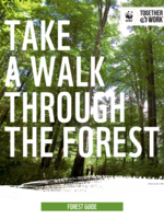 Take a Walk Through the Forest Brochure