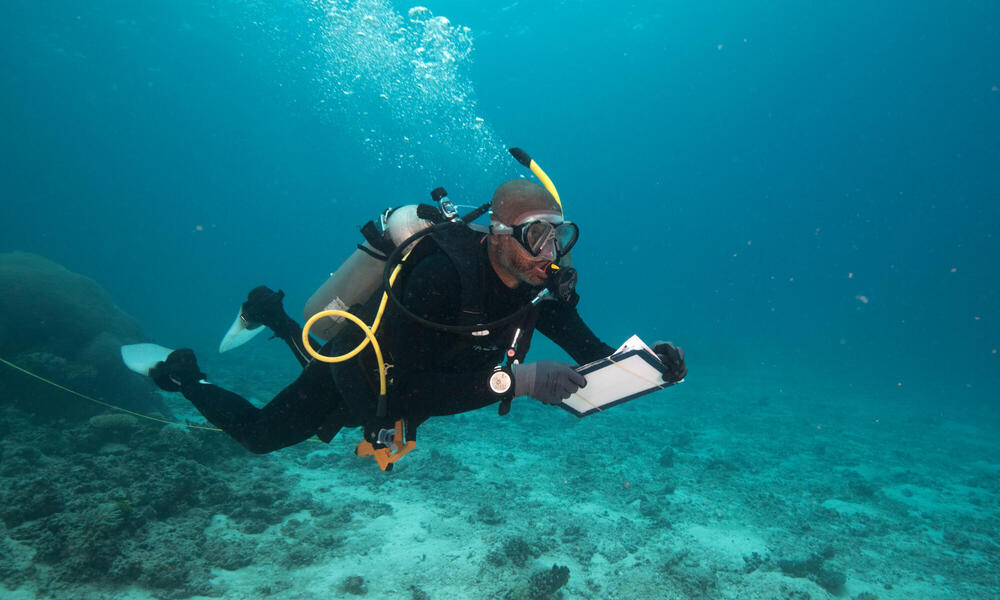 Underwater photo of man in SCUBA gear with clipboard