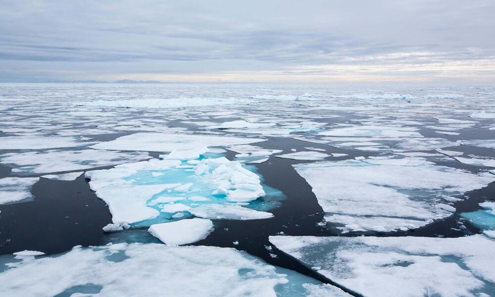 sea ice in the Arctic
