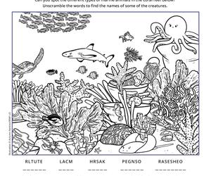Sea Turtle Word Scramble and Picture Find