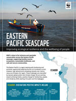Eastern Pacific Seascape Brochure