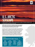 Arctic Seascape Brochure