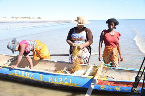 Three Malagasy women seaweed farmers stand in shallow water and attatch seaweed to a line.