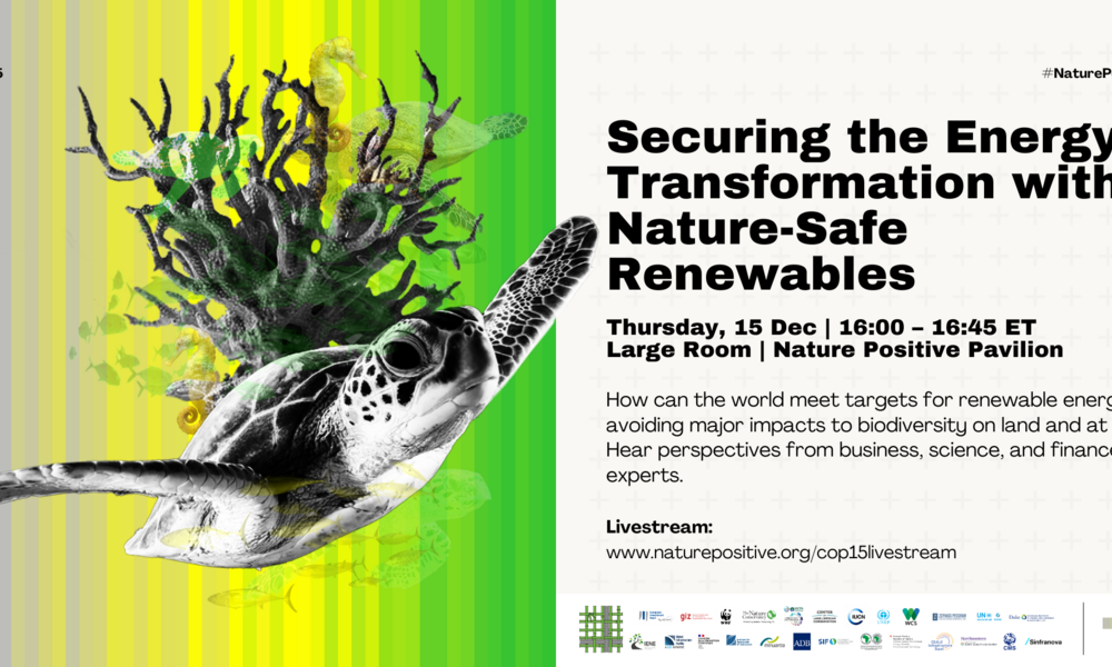 social card for Securing the Energy Transformation with Nature-Safe Renewables event