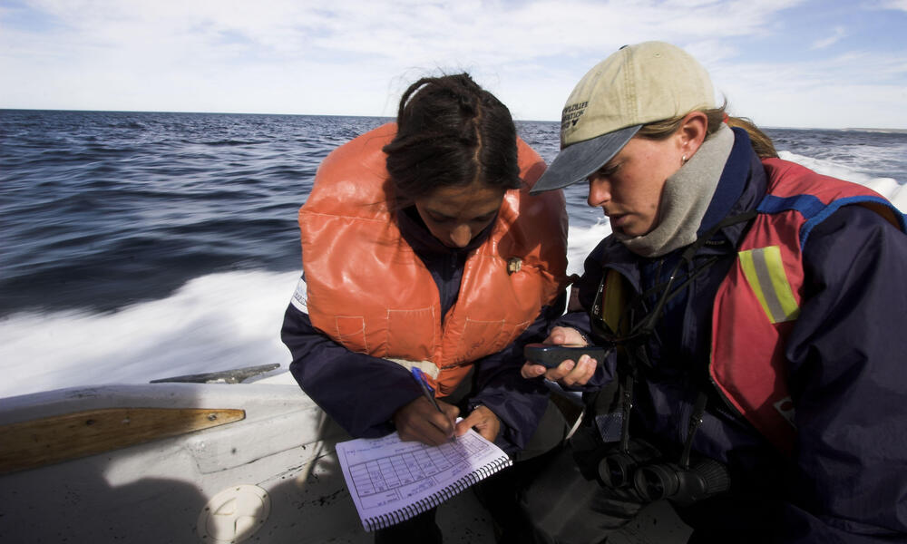 Field research, Argentina