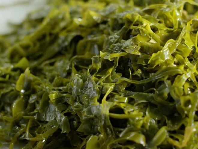 Farmed Seaweed | Industries | WWF