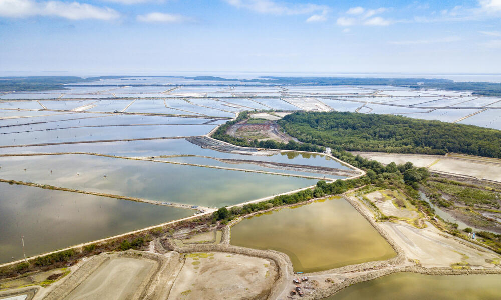 Aerial photo of manmade ponds for shrimp farming
