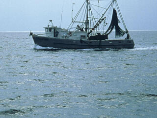 Shrimp trawler_1COLUMN