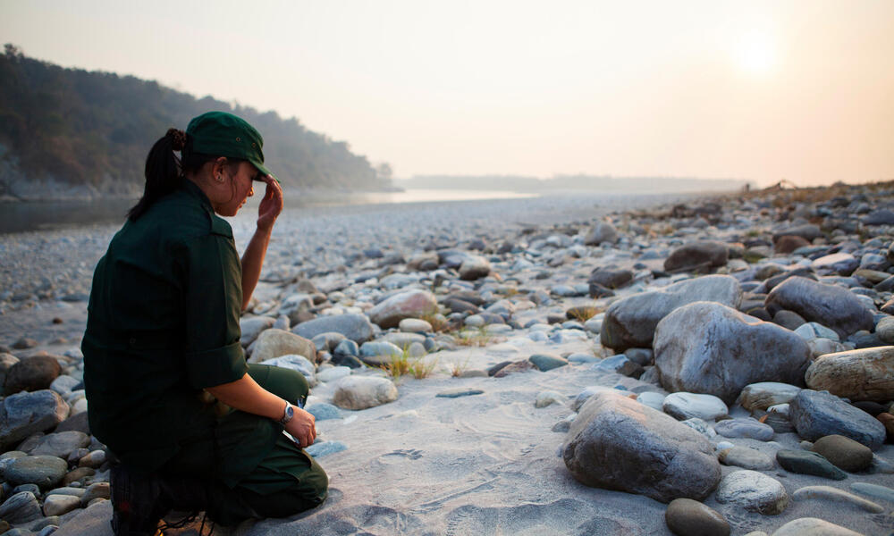 Singye Wangmo checking a tiger pug mark.