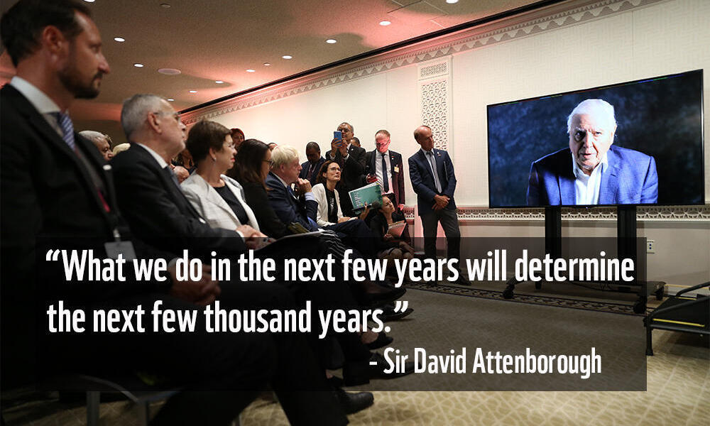 Sir David Attenborough at UNGA