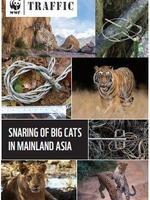 Snaring of Big Cats in Mainland Asia Brochure