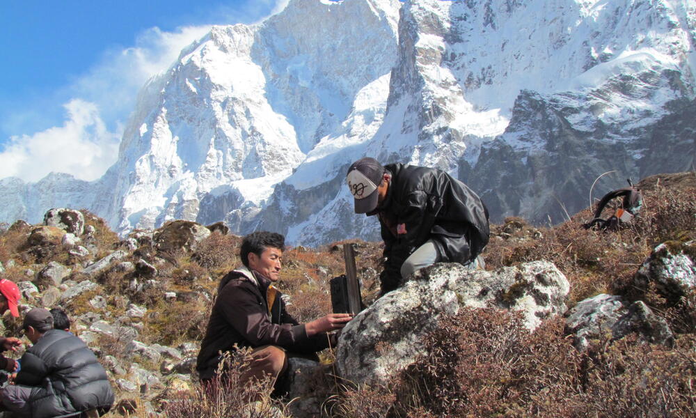 Snow Leopard and Yak Insurance