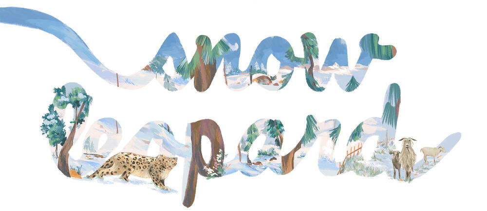 illustration of the words Snow leopard