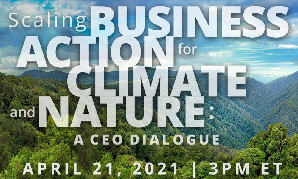Scaling business action for climate and nature